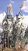 Arundo donax
