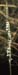 Spiranthes spiralis(2)